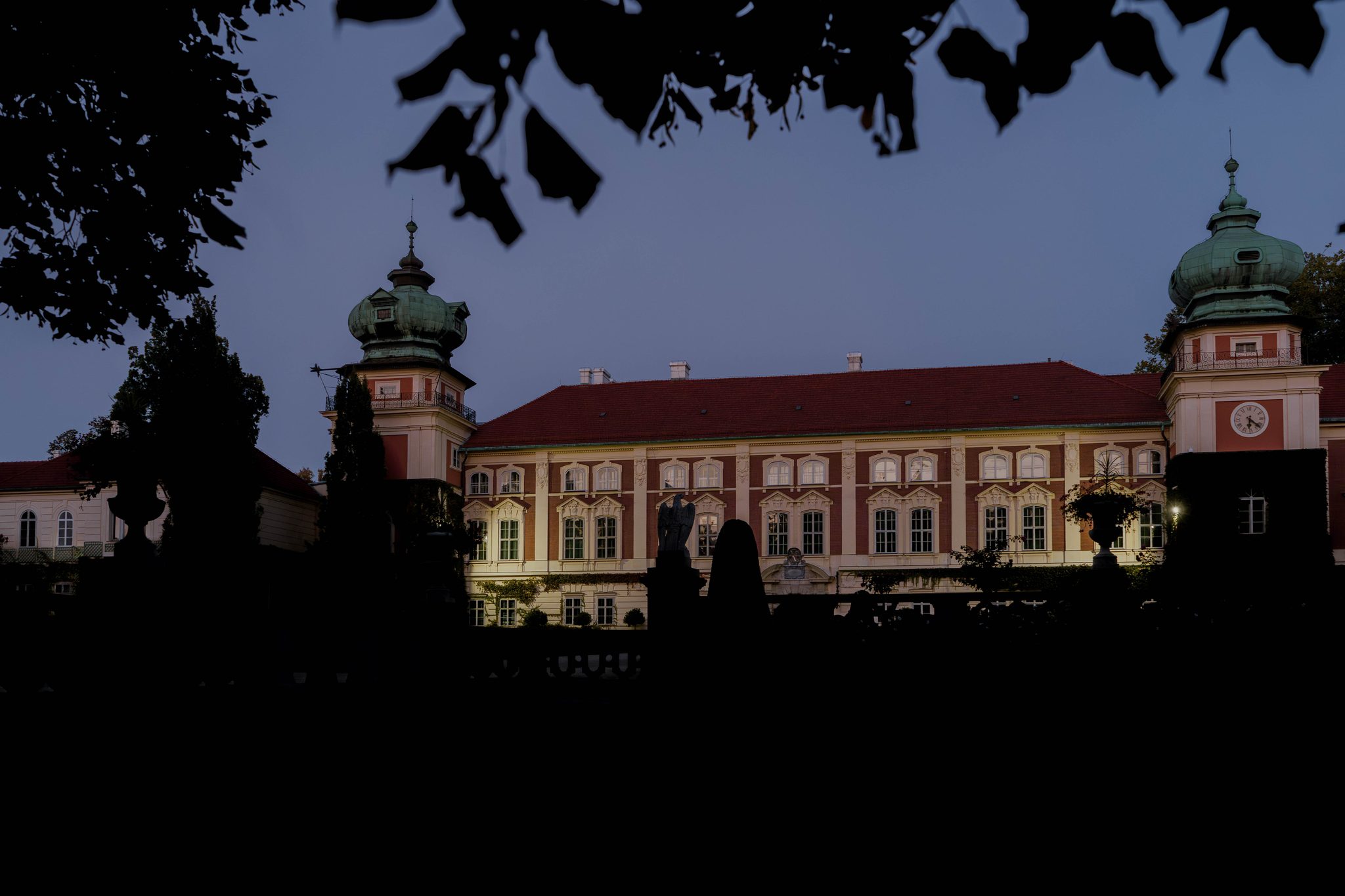 Łańcut otrzymał 10 tys. zł na kastrację zwierząt w ramach programu „W trosce o zwierzęta 2026″
