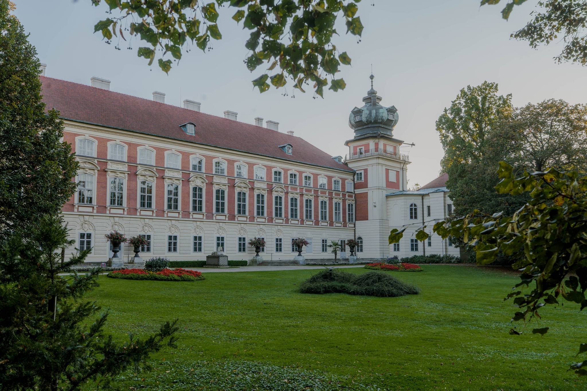 Przemoc domowa w powiecie łańcuckim – gdzie szukać pomocy